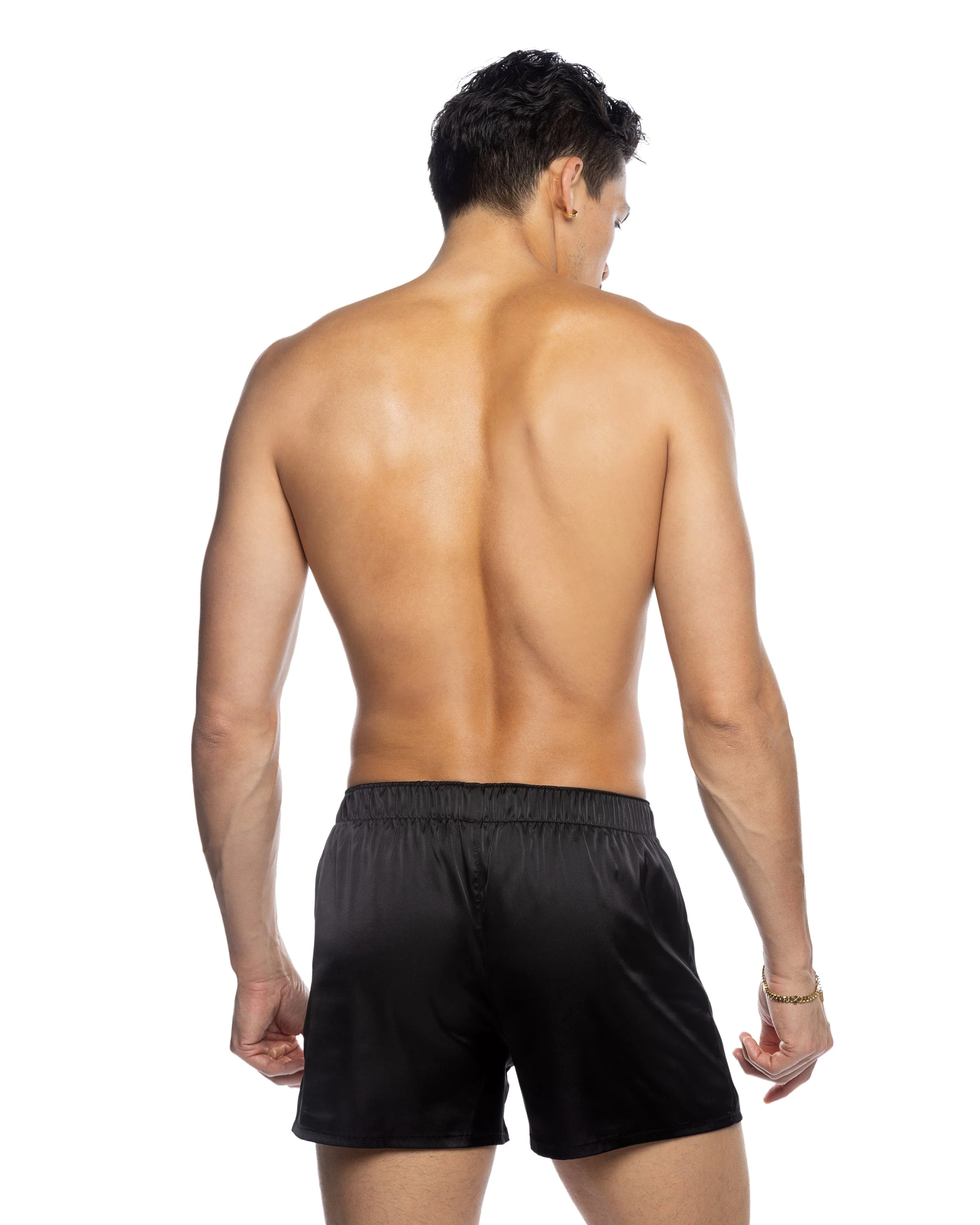 LI818 - Champion Boxer - Image 4